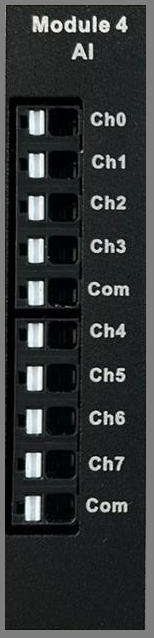 Analog Inputs Module