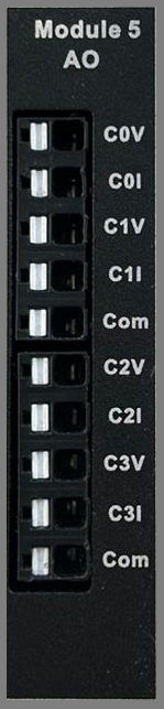 Analog Outputs Module